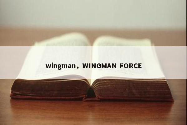 wingman，WINGMAN FORCE