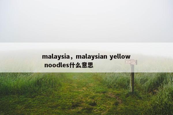 malaysia，malaysian yellow noodles什么意思