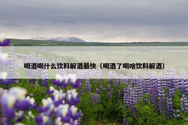 喝酒喝什么饮料解酒最快（喝酒了喝啥饮料解酒）