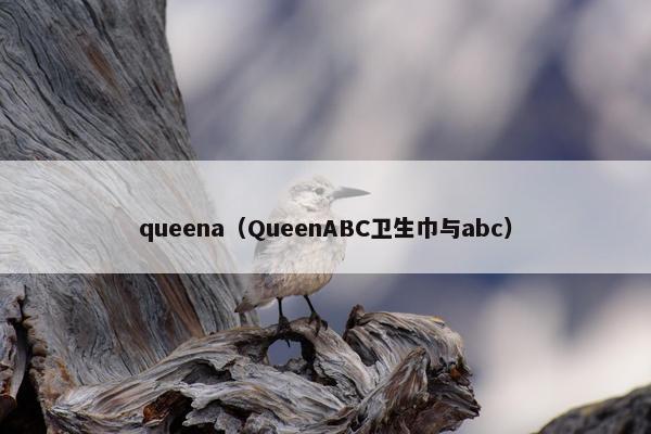 queena（QueenABC卫生巾与abc）