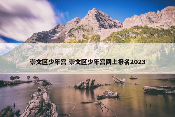 崇文区少年宫 崇文区少年宫网上报名2023