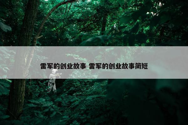 雷军的创业故事 雷军的创业故事简短