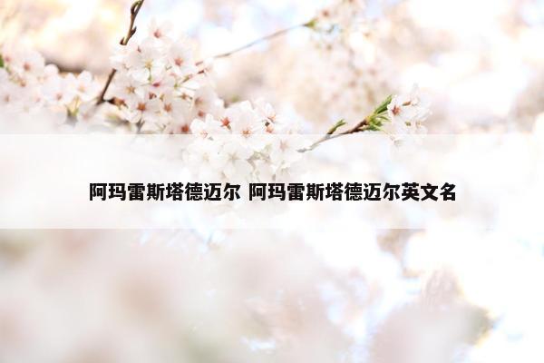 阿玛雷斯塔德迈尔 阿玛雷斯塔德迈尔英文名