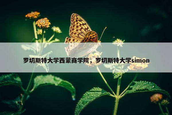 罗切斯特大学西蒙商学院，罗切斯特大学simon