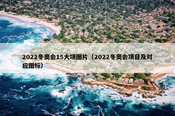 2022冬奥会15大项图片（2022冬奥会项目及对应图标）