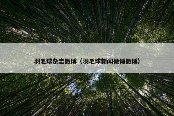 羽毛球杂志微博（羽毛球新闻微博微博）