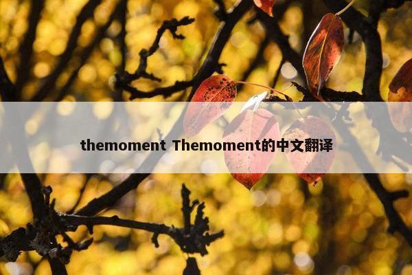 themoment Themoment的中文翻译