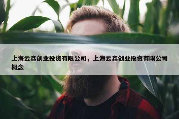 上海云鑫创业投资有限公司，上海云鑫创业投资有限公司概念