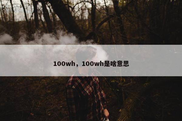 100wh，100wh是啥意思