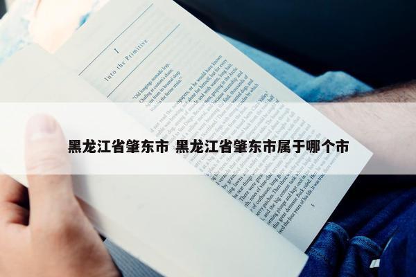 黑龙江省肇东市 黑龙江省肇东市属于哪个市