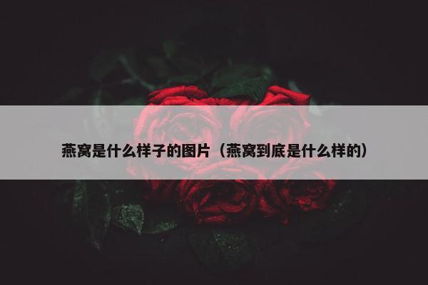 燕窝是什么样子的图片（燕窝到底是什么样的）