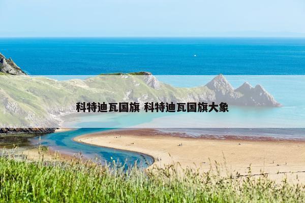 科特迪瓦国旗 科特迪瓦国旗大象