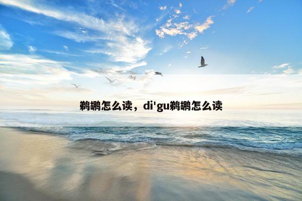 鹈鹕怎么读，di'gu鹈鹕怎么读