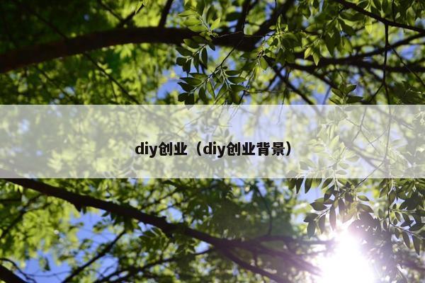 diy创业（diy创业背景）