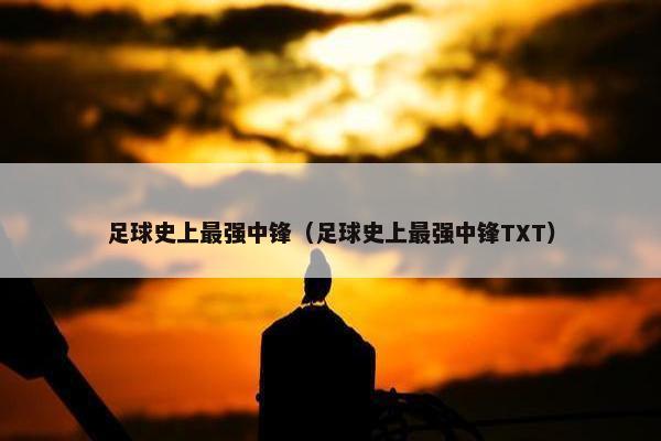 足球史上最强中锋（足球史上最强中锋TXT）