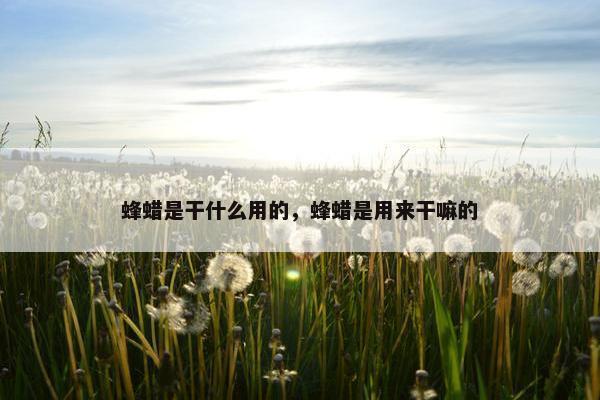 蜂蜡是干什么用的，蜂蜡是用来干嘛的