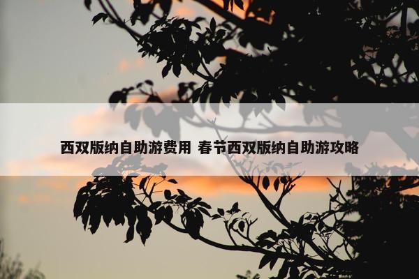 西双版纳自助游费用 春节西双版纳自助游攻略