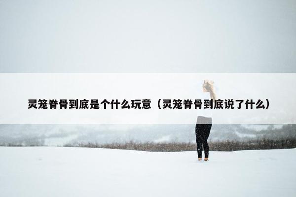 灵笼脊骨到底是个什么玩意（灵笼脊骨到底说了什么）