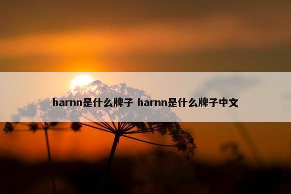 harnn是什么牌子 harnn是什么牌子中文