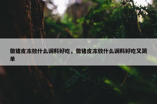 做猪皮冻放什么调料好吃，做猪皮冻放什么调料好吃又简单