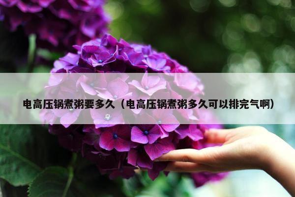 电高压锅煮粥要多久（电高压锅煮粥多久可以排完气啊）