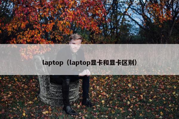 laptop（laptop显卡和显卡区别）