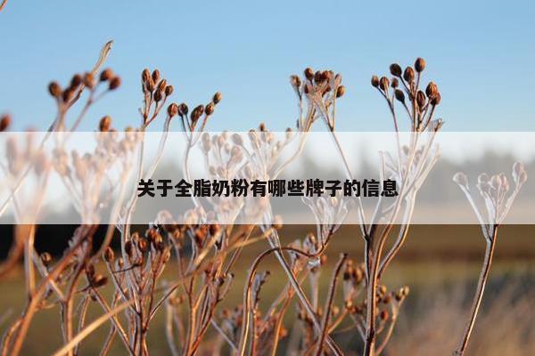 关于全脂奶粉有哪些牌子的信息