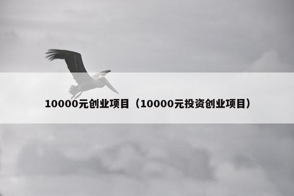 10000元创业项目（10000元投资创业项目）