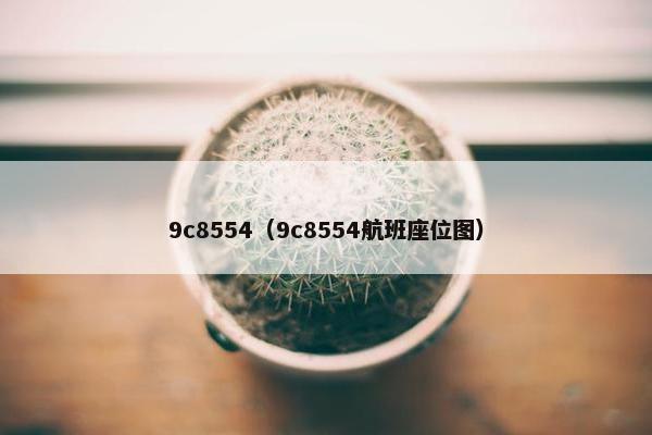 9c8554（9c8554航班座位图）