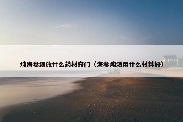 炖海参汤放什么药材窍门（海参炖汤用什么材料好）