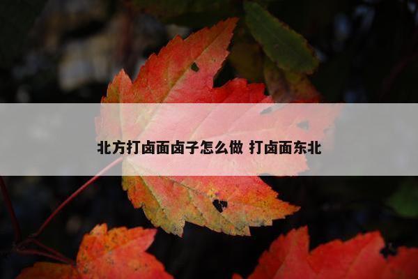 北方打卤面卤子怎么做 打卤面东北