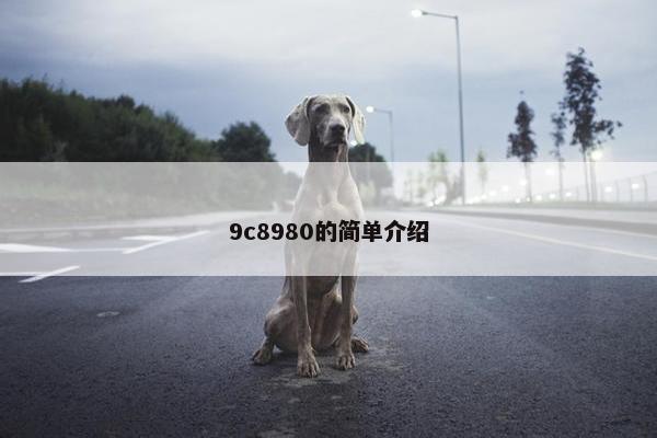 9c8980的简单介绍