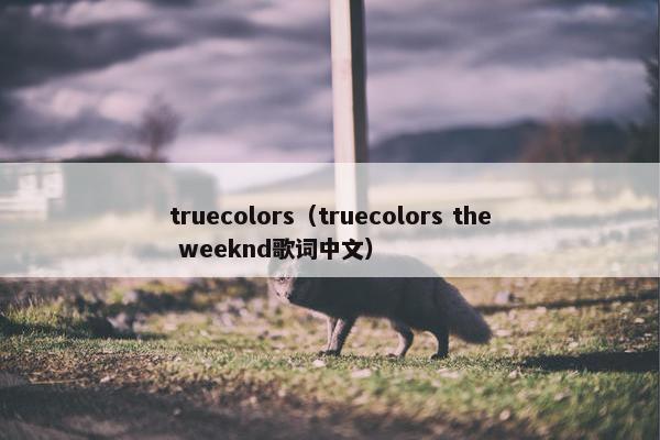 truecolors（truecolors the weeknd歌词中文）