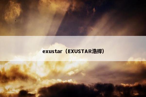 exustar（EXUSTAR浩捍）