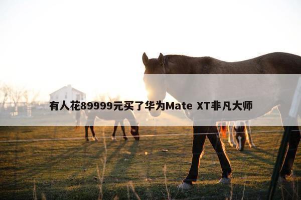 有人花89999元买了华为Mate XT非凡大师