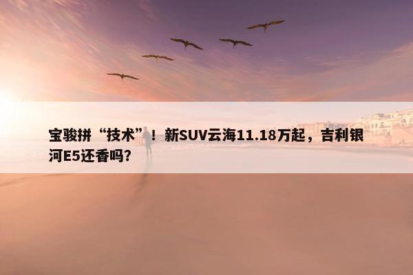 宝骏拼“技术”！新SUV云海11.18万起，吉利银河E5还香吗？