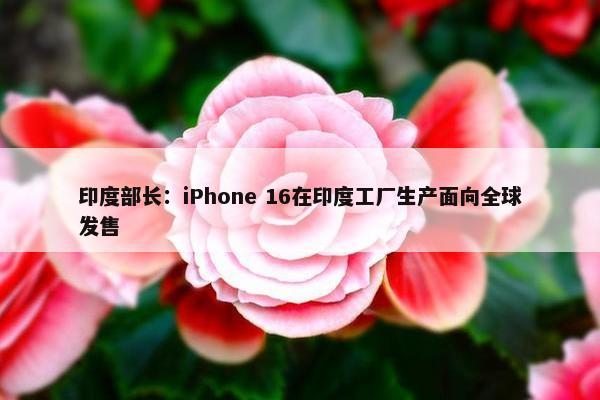 印度部长：iPhone 16在印度工厂生产面向全球发售