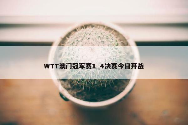 WTT澳门冠军赛1_4决赛今日开战