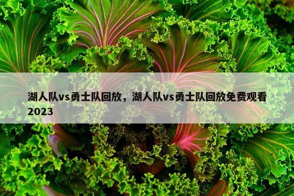 湖人队vs勇士队回放，湖人队vs勇士队回放免费观看2023