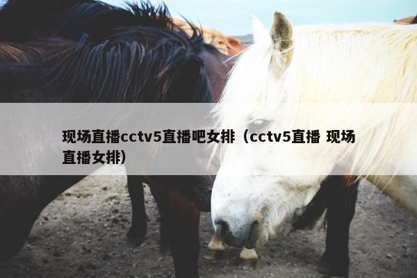 现场直播cctv5直播吧女排（cctv5直播 现场直播女排）