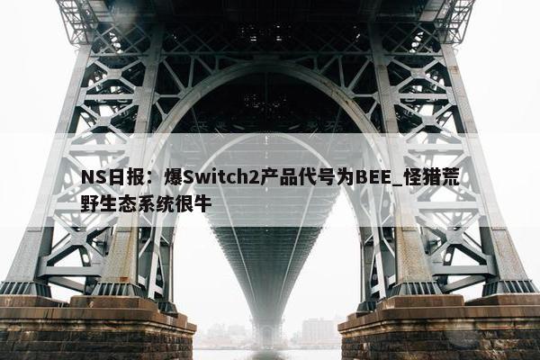 NS日报：爆Switch2产品代号为BEE_怪猎荒野生态系统很牛