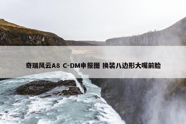 奇瑞风云A8 C-DM申报图 换装八边形大嘴前脸