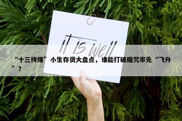 “十三待爆”小生存货大盘点，谁能打破魔咒率先“飞升”？