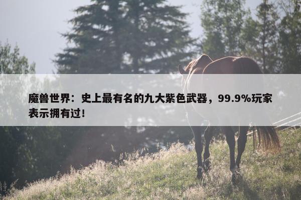 魔兽世界：史上最有名的九大紫色武器，99.9%玩家表示拥有过！