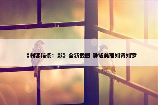 《刺客信条：影》全新截图 静谧美丽如诗如梦