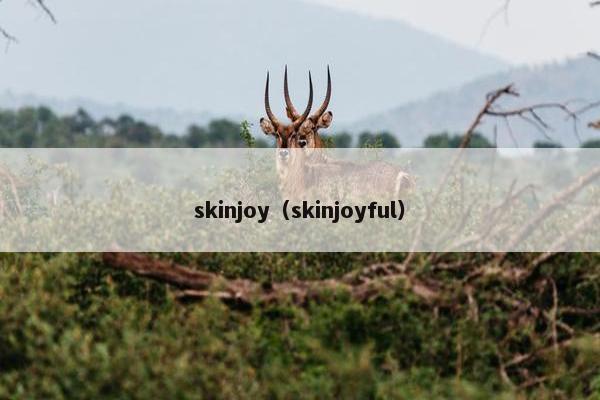 skinjoy（skinjoyful）