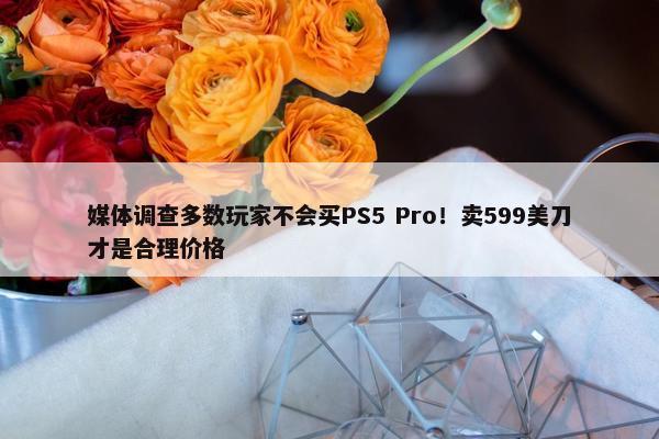 媒体调查多数玩家不会买PS5 Pro！卖599美刀才是合理价格