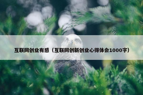 互联网创业有感（互联网创新创业心得体会1000字）