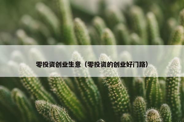 零投资创业生意（零投资的创业好门路）