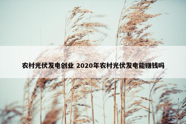 农村光伏发电创业 2020年农村光伏发电能赚钱吗